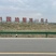 大闸蟹幼苗，蟹苗，扣蟹苗，大母本螃蟹苗，产地直发