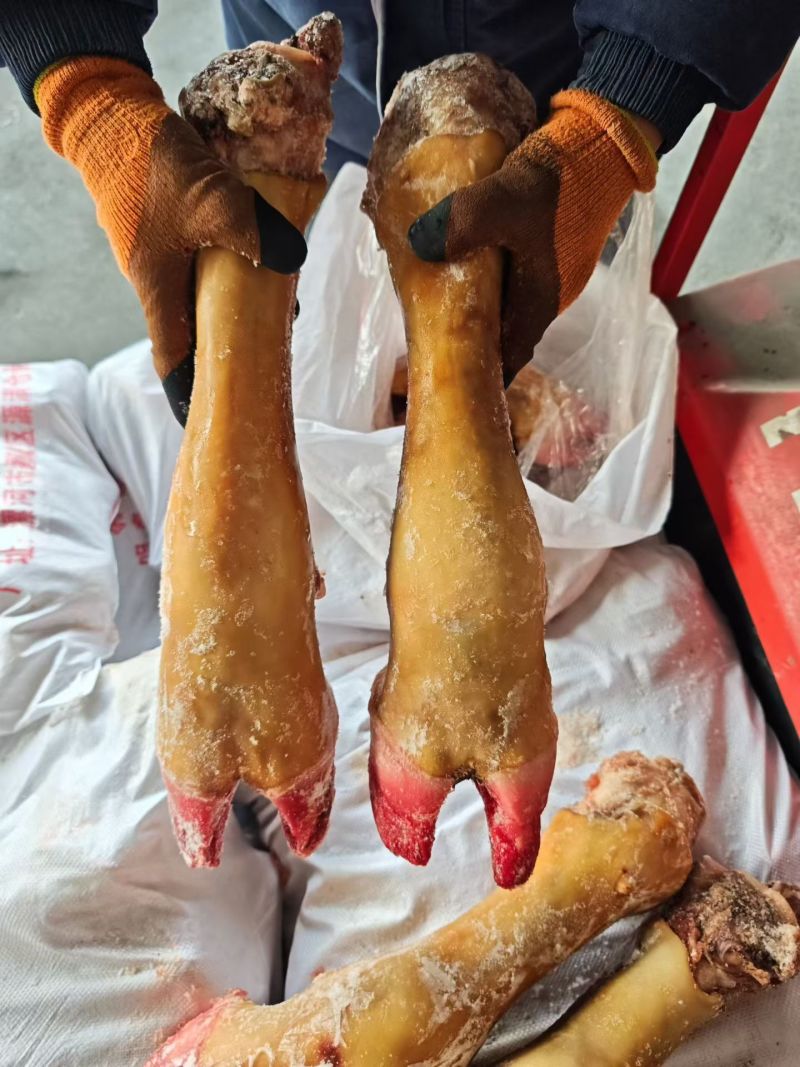 火烧牛蹄