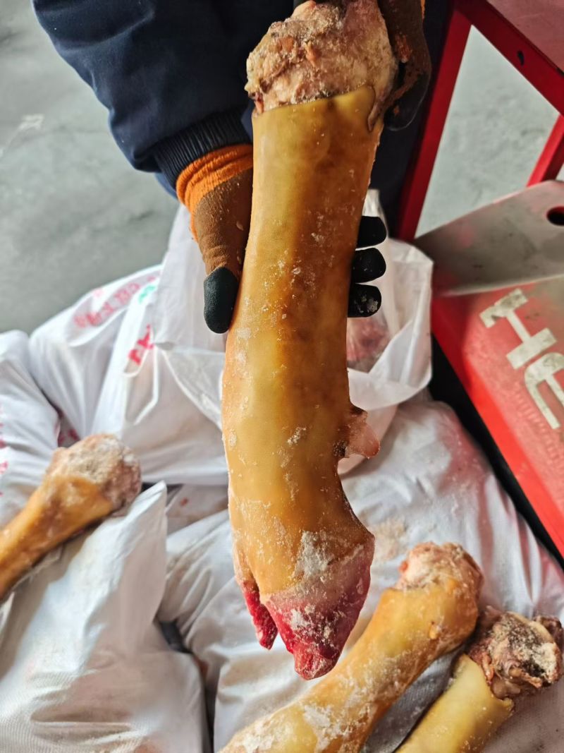 火烧牛蹄