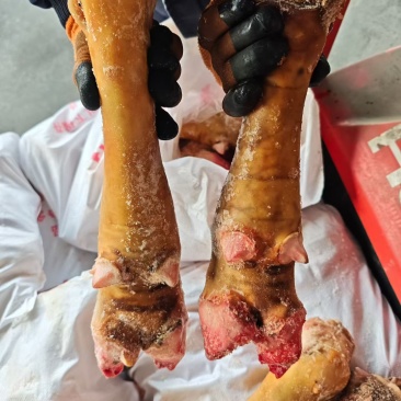 火烧牛蹄