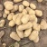 陕北土豆大量上市