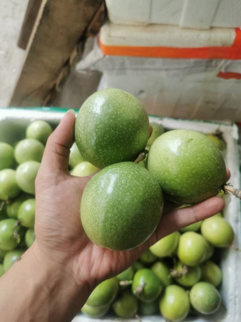 百香果，工厂货电商货市场货