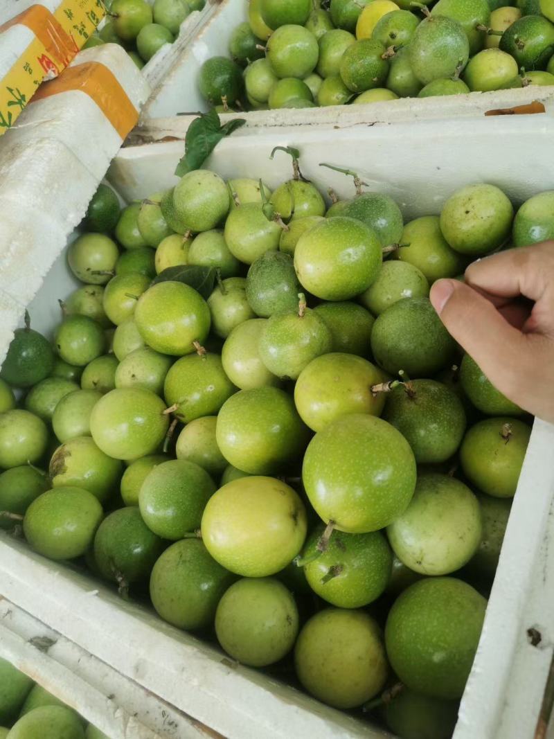 百香果，工厂货电商货市场货