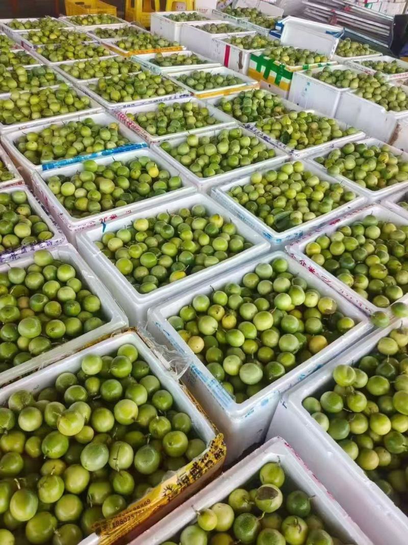 百香果，工厂货电商货市场货