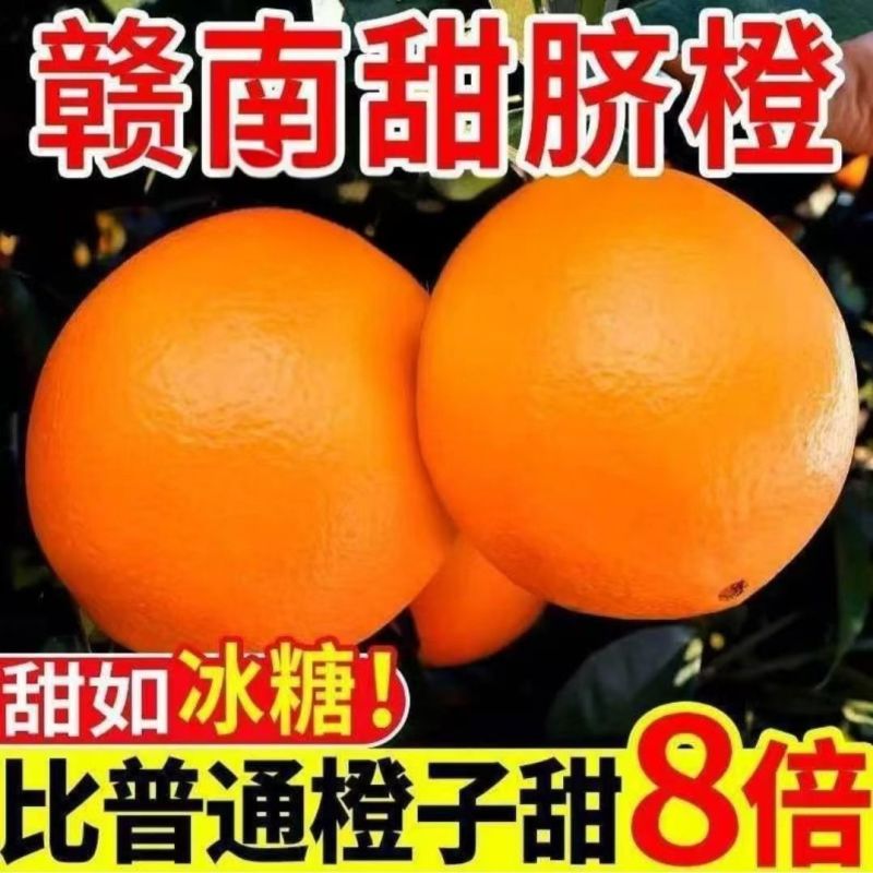 赣南脐橙