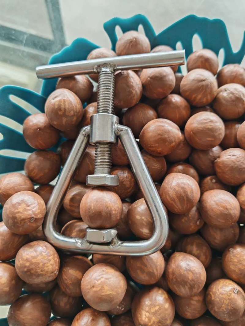 夏威夷果电商一件代发有量你就来