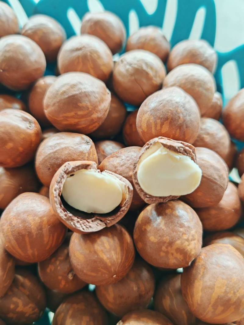 夏威夷果电商一件代发有量你就来