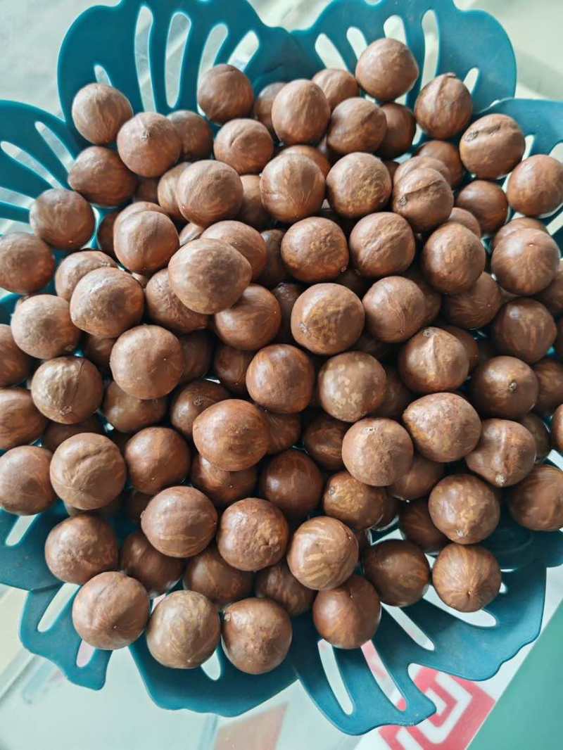 夏威夷果电商一件代发有量你就来