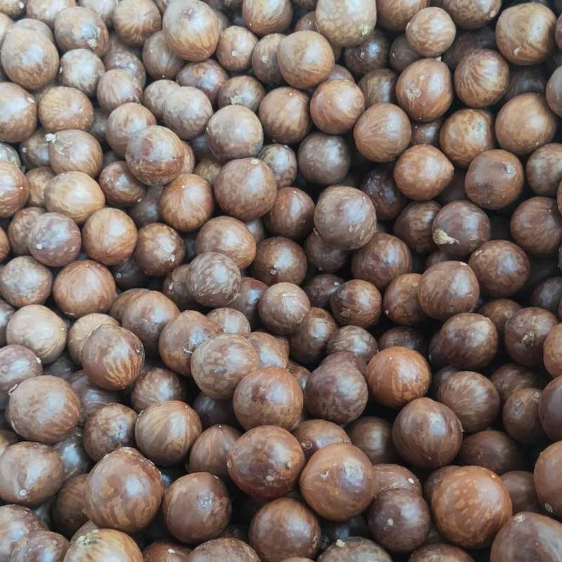 夏威夷果电商一件代发有量你就来