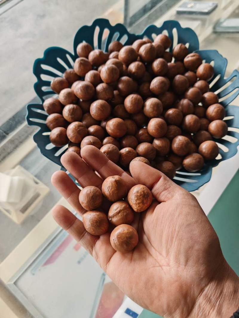 夏威夷果电商一件代发有量你就来