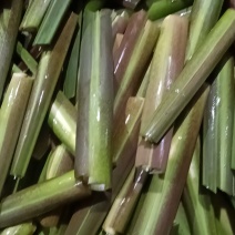 茭白精品货中货