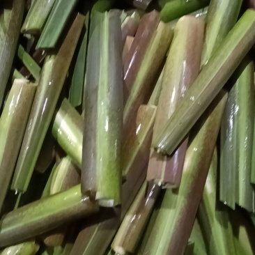 茭白精品货中货