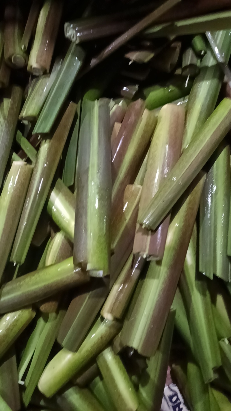 茭白精品货中货