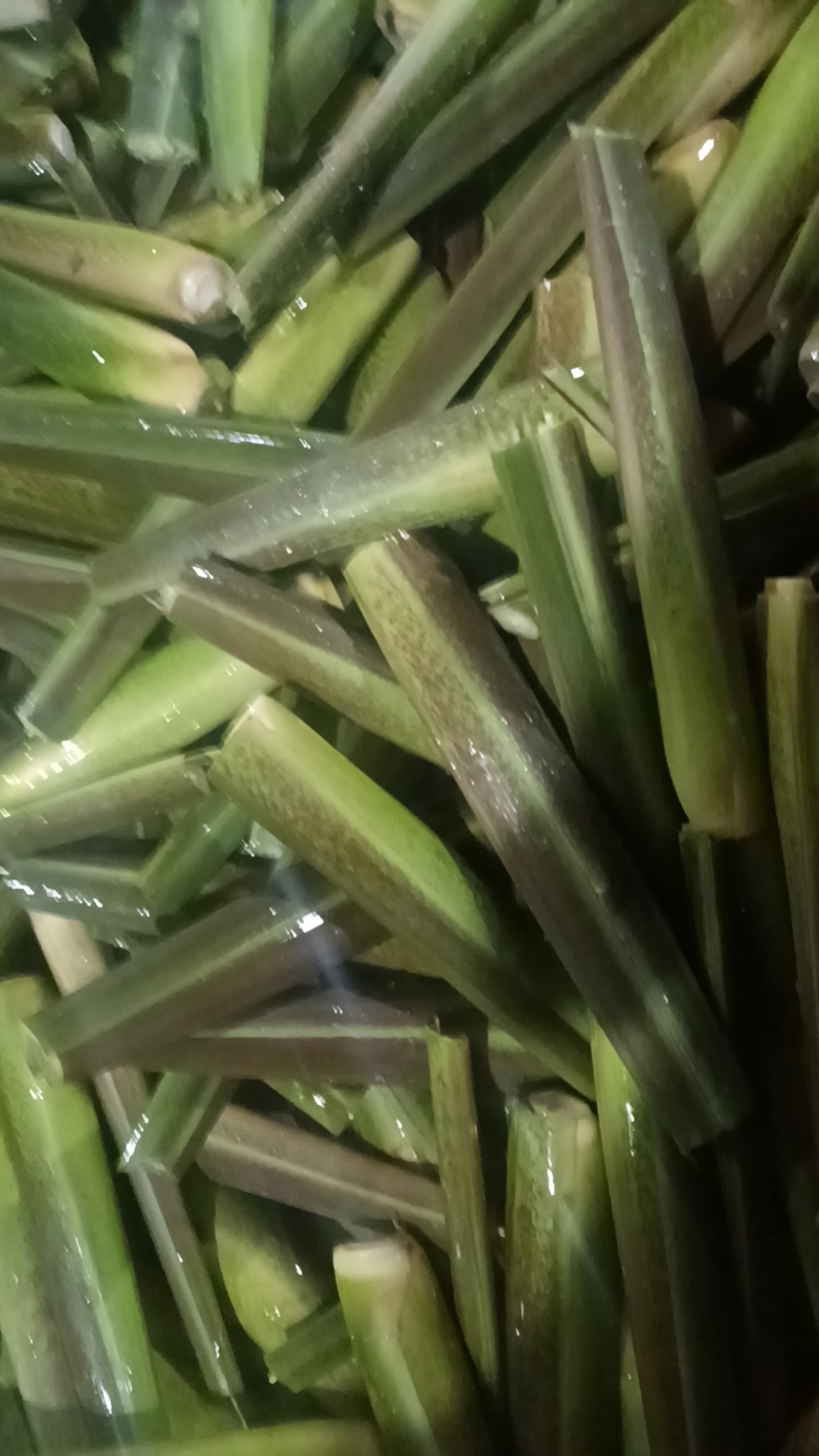 茭白精品货中货