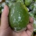 广东正宗无籽香水柠檬一级果茶饮**