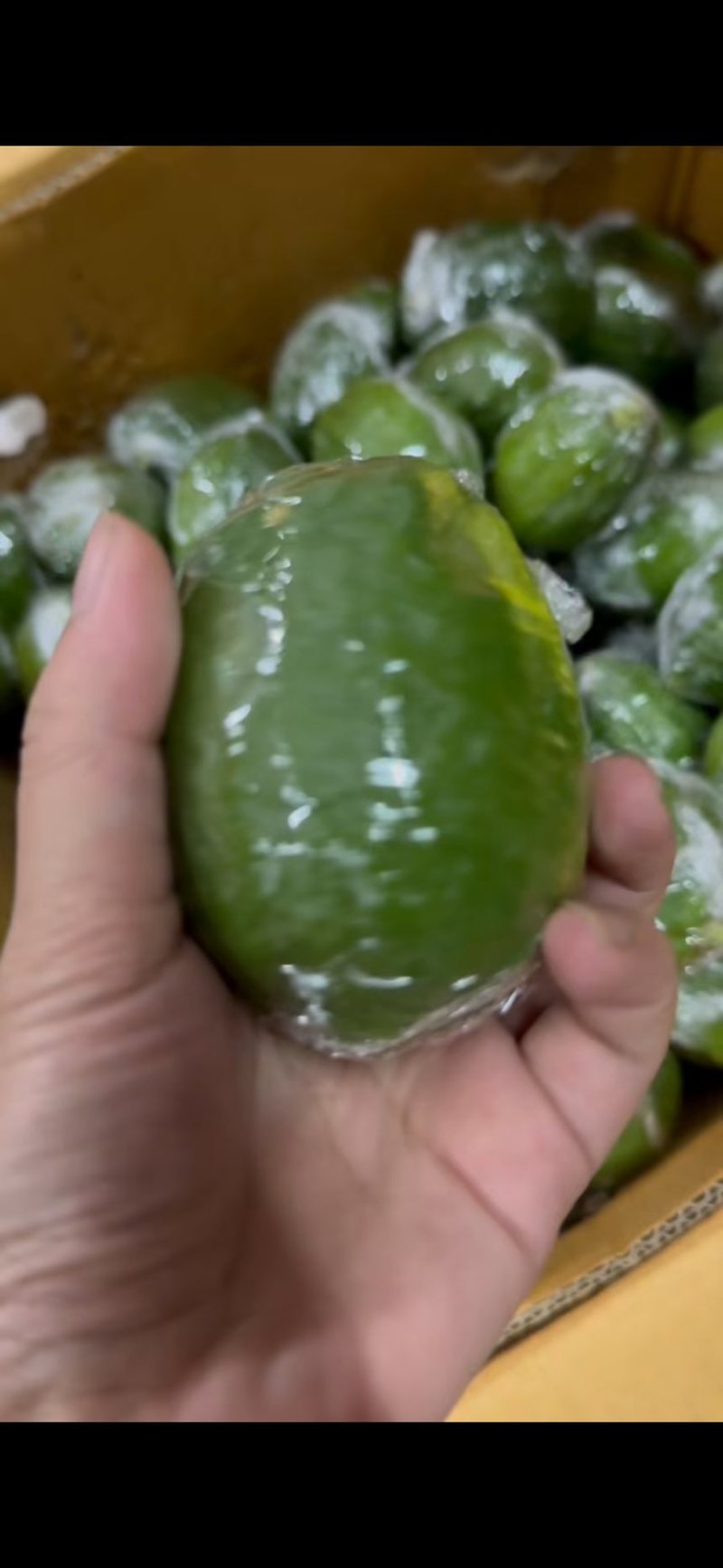 广东正宗无籽香水柠檬一级果茶饮**
