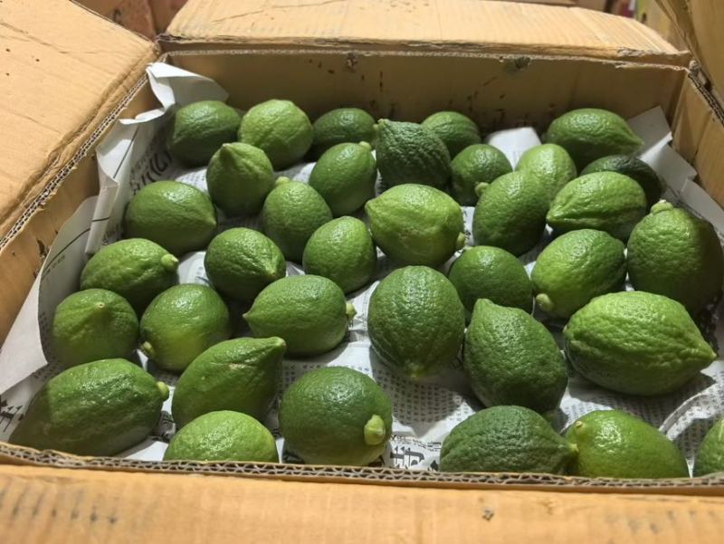 广东正宗无籽香水柠檬一级果茶饮**