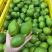 广东正宗无籽香水柠檬一级果茶饮**