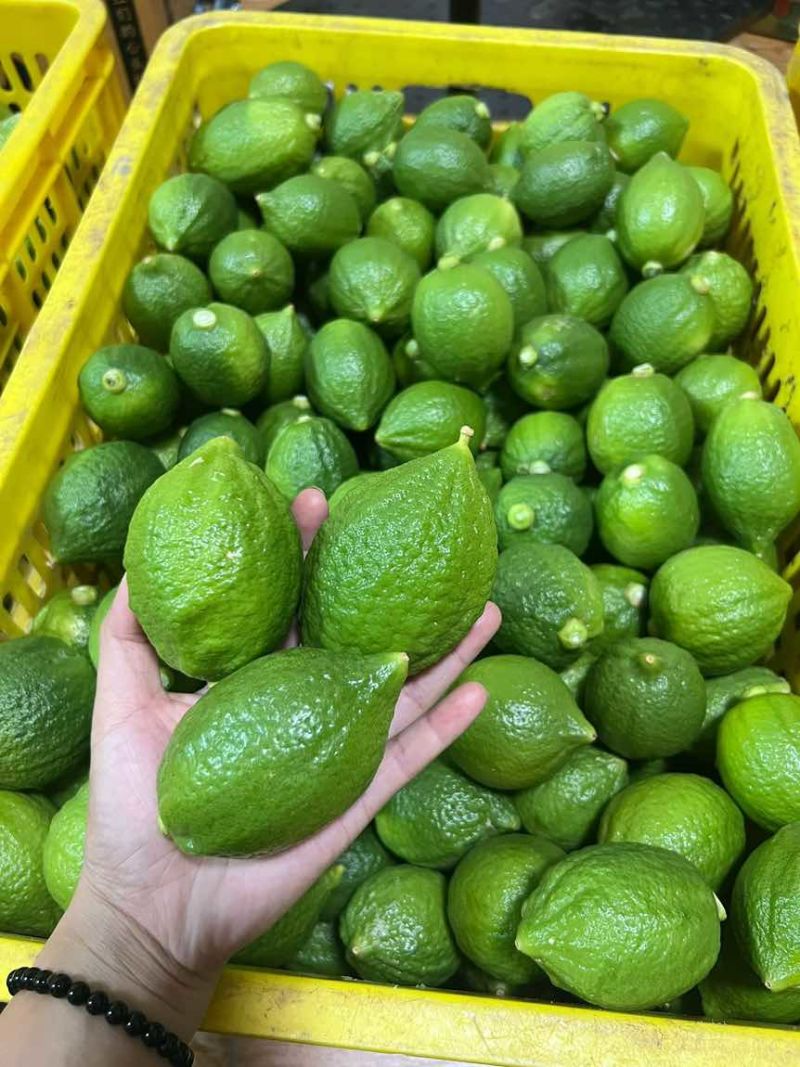 广东正宗无籽香水柠檬一级果茶饮**