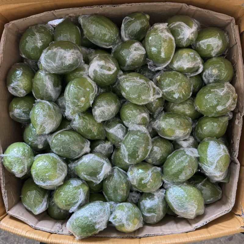 广东正宗无籽香水柠檬一级果茶饮**