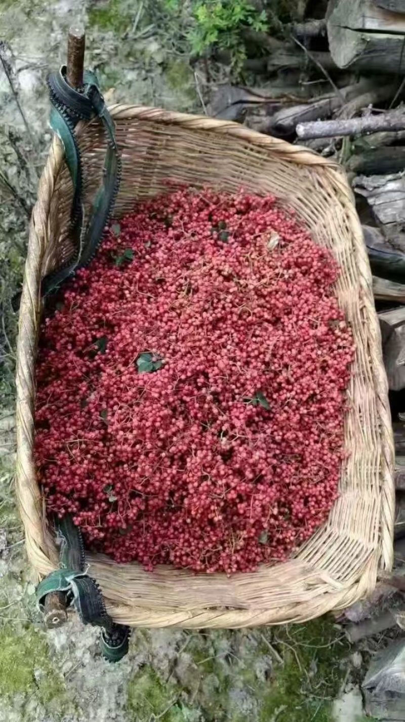 大红袍花椒