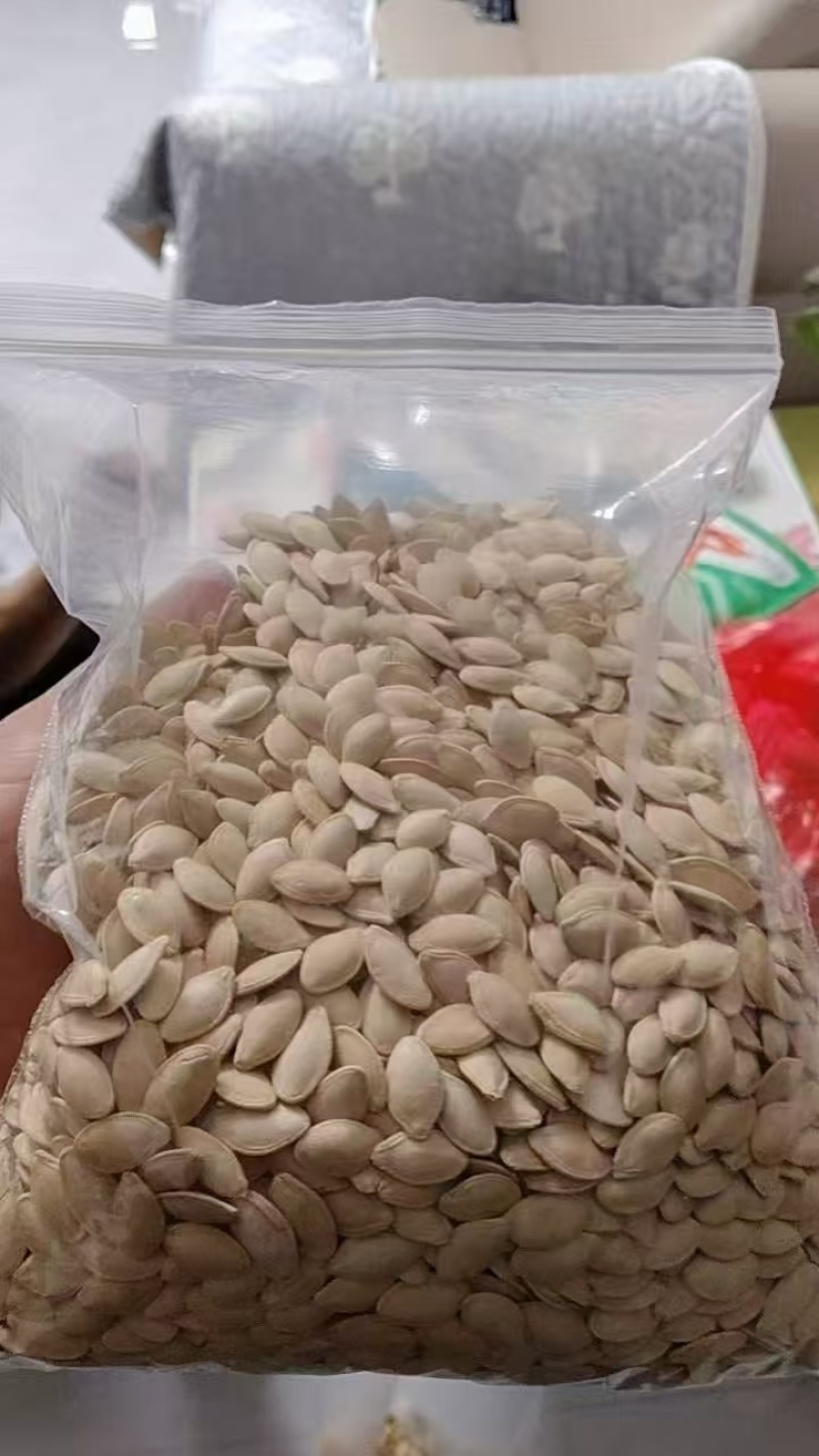 精品美人甲南瓜子一件代发电商批发便宜量大炒货坚果