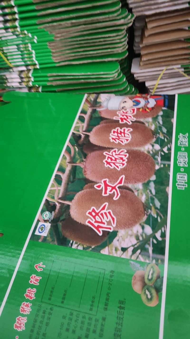 修文贵长猕猴桃