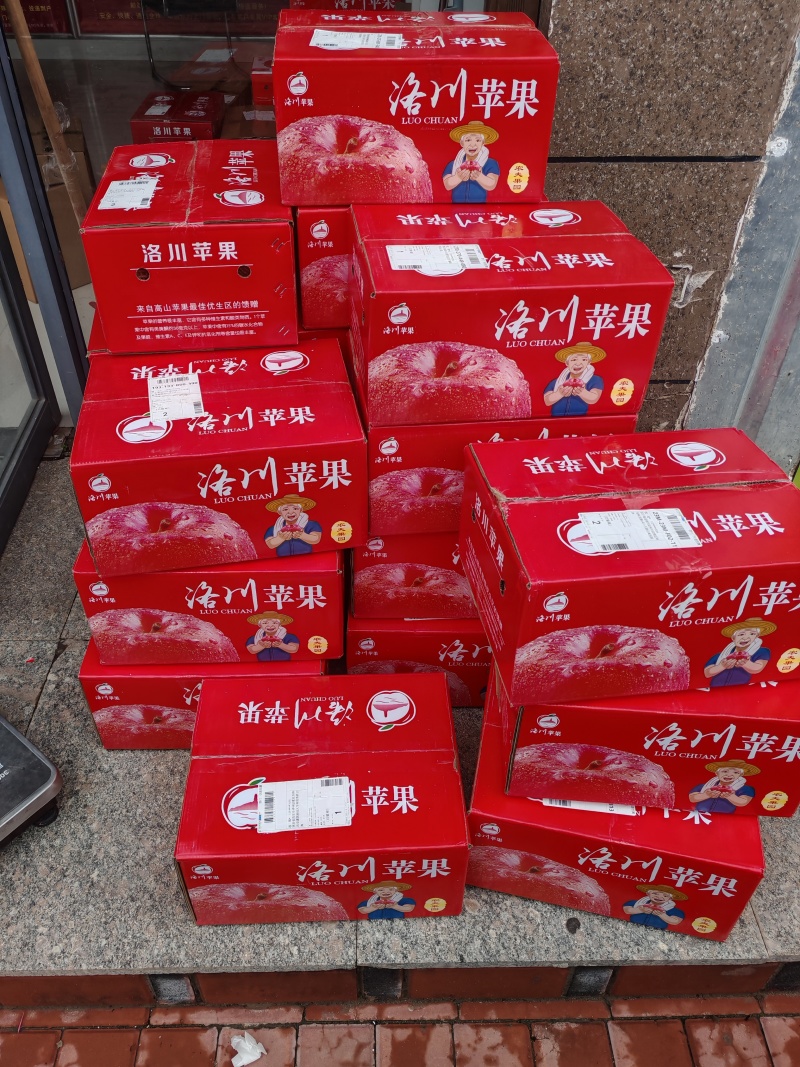 陕西省洛川县苹果