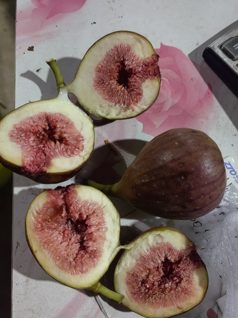 无花果当季水果