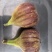 波姬红无花果