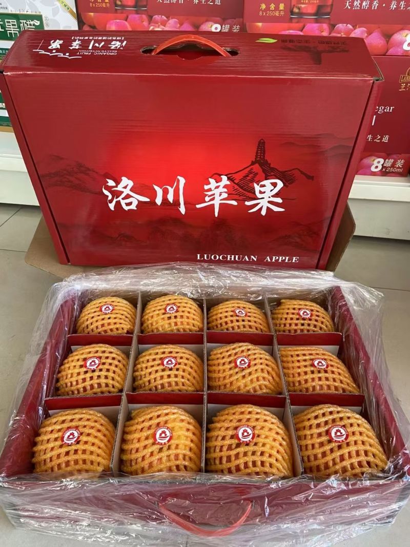 洛川红富士