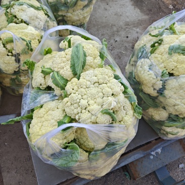 花菜大量有货，价格便宜。