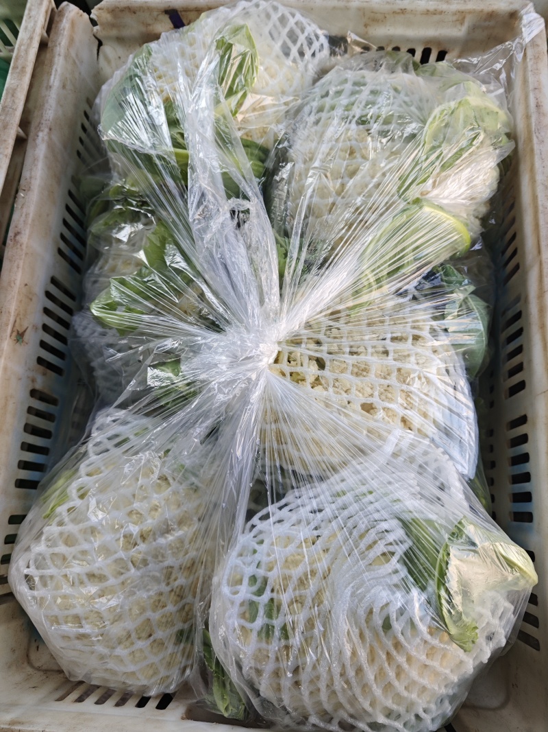 花菜大量有货，价格便宜。