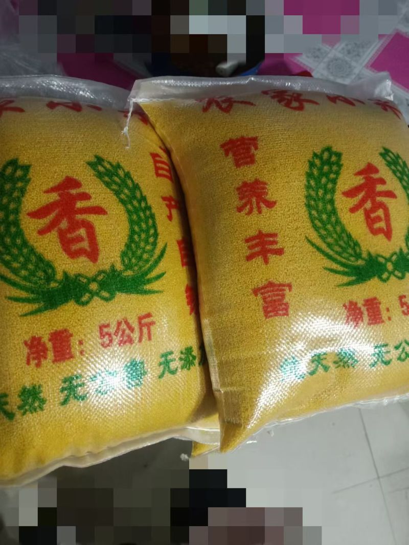 黄金小米，您的**🌹🌹🌹