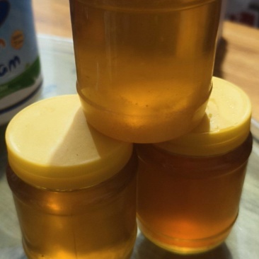 自己家养的天然蜂蜜
