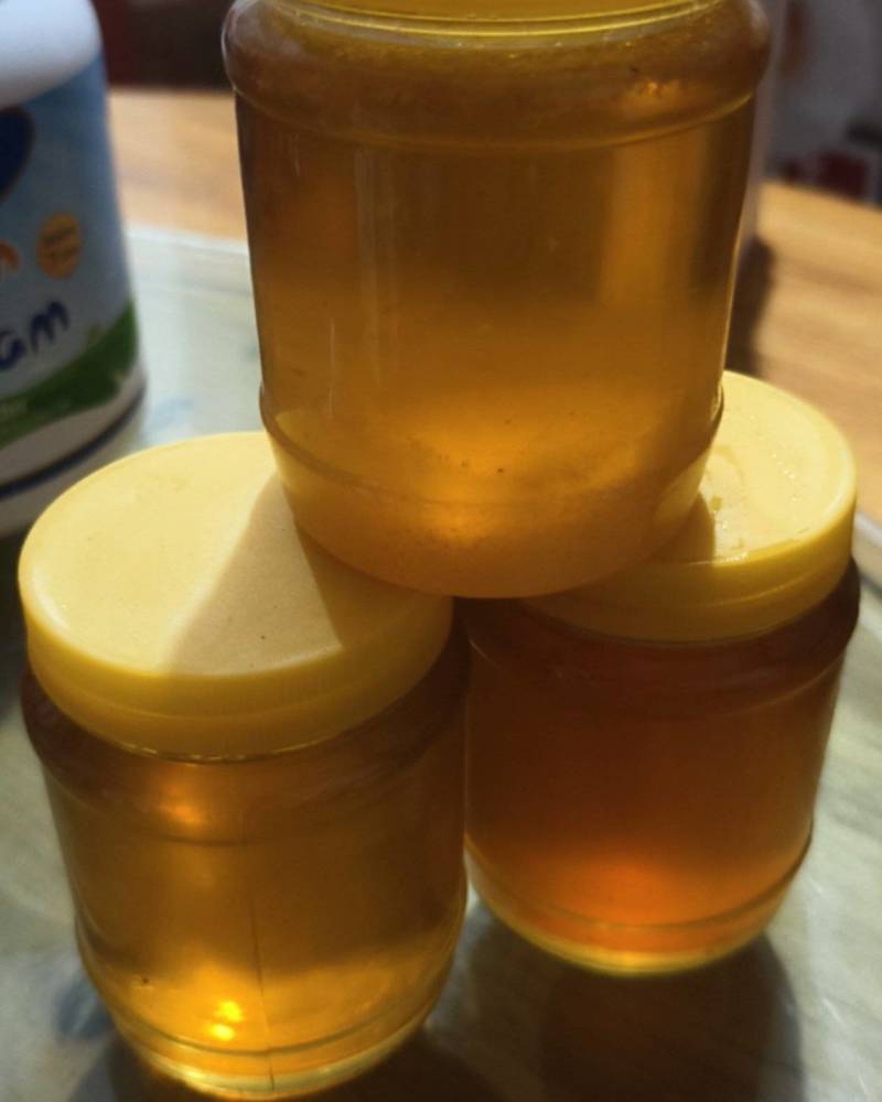 自己家养的天然蜂蜜