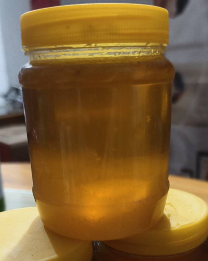 自己家养的天然蜂蜜
