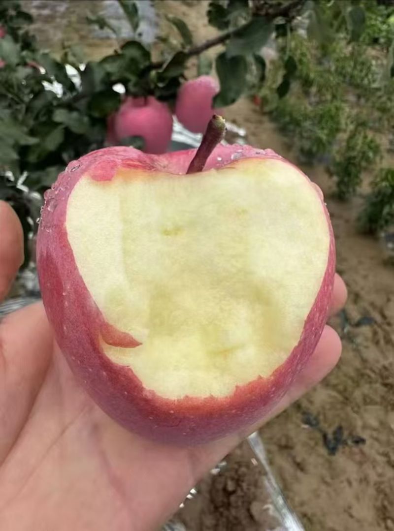 甘肃