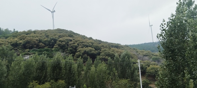 油栗