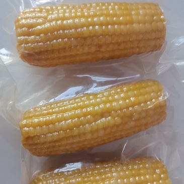 真空包装鲜食玉米