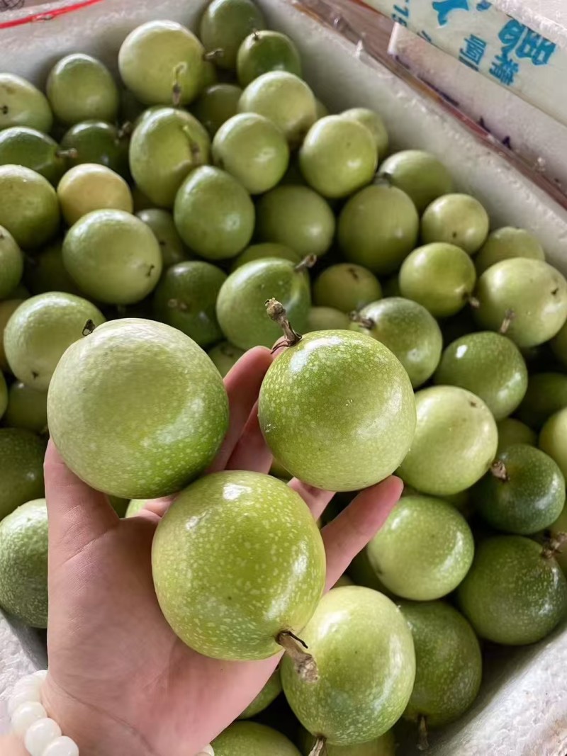 钦蜜9号百香果批发