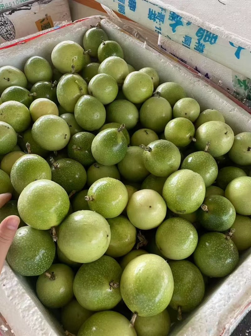 钦蜜9号百香果批发