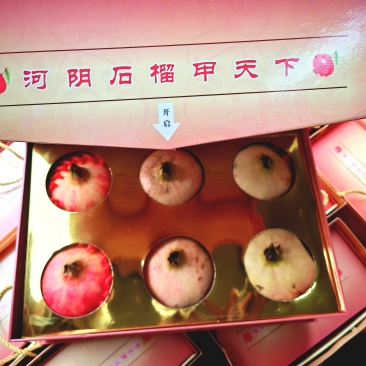 正宗河阴软籽石榴