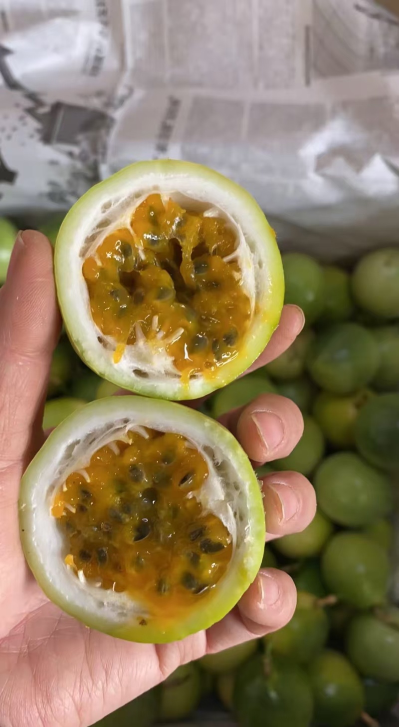 批发钦蜜9号百香果