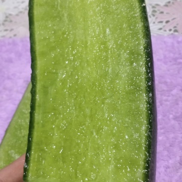 沙窝天星罗卜沙窝冰激凌罗卜，沙窝水果罗卜