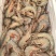 渤海湾野生大虾