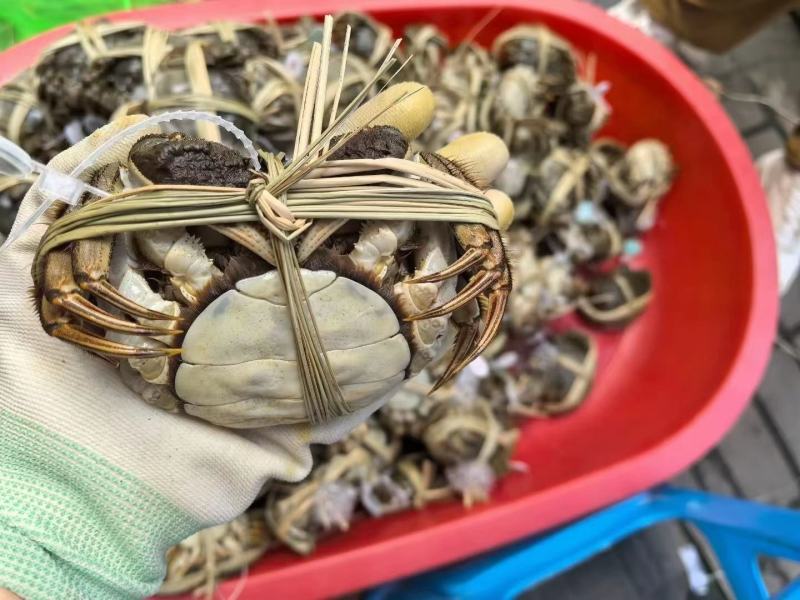 大闸蟹(残蟹)