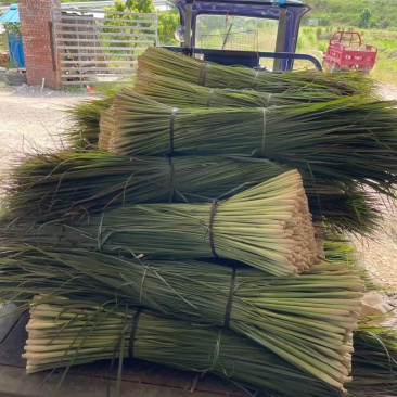 香茅柠檬草干批发