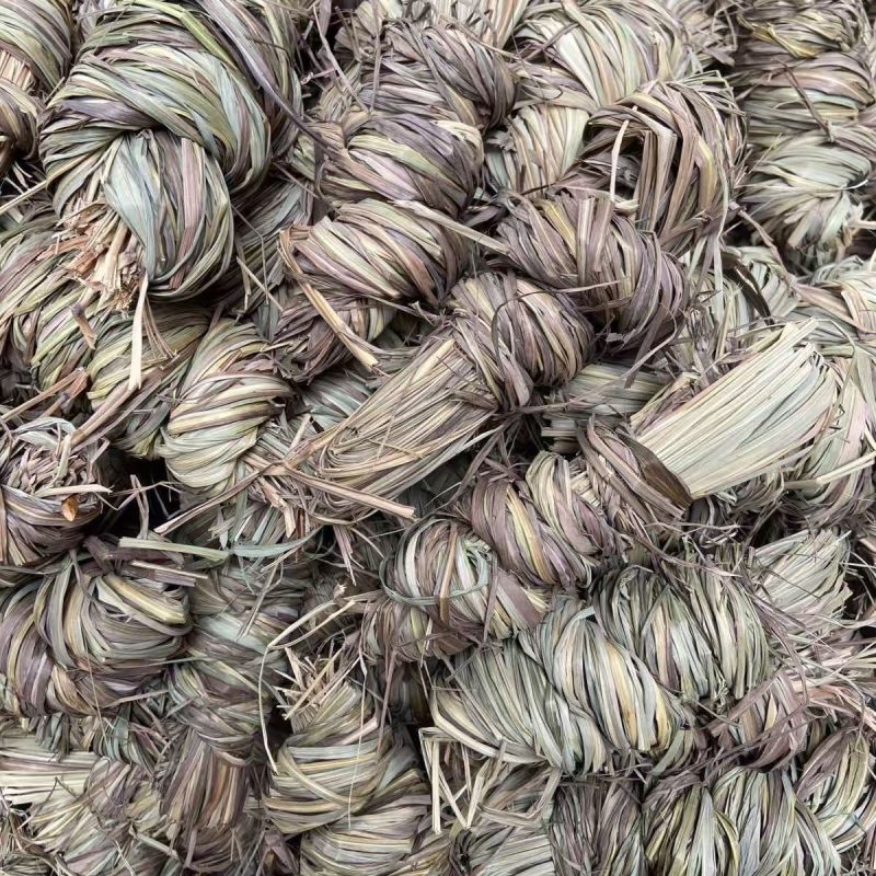 香茅柠檬草干批发