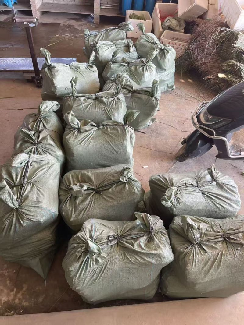 香茅柠檬草干批发